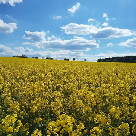 Gaestehaus 26 I 2 Gasthuis