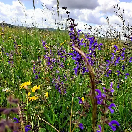 Gaestehaus 26 I 2 Gasthuis Bad Urach