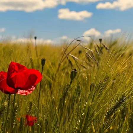 Gaestehaus 26 I 2 3*