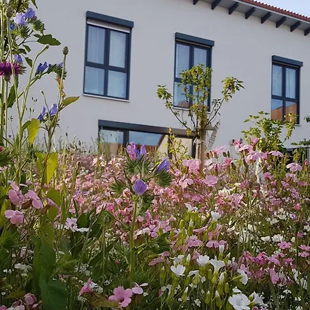 Gaestehaus 26 I 2 Bad Urach