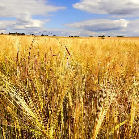 Gasthuis Gaestehaus 26 I 2 3*