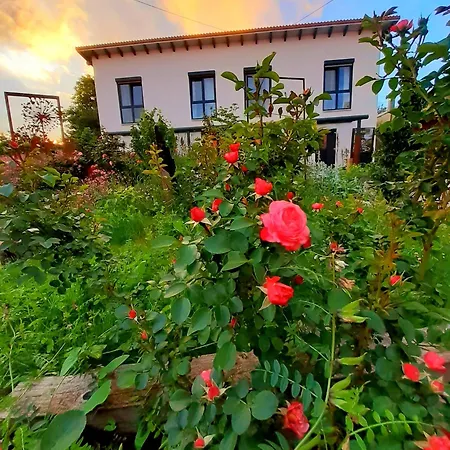 Gaestehaus 26 I 2 3*