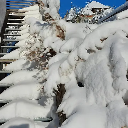 Maison d'hôtes Gaestehaus 26 I 2 Bad Urach